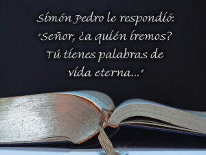 Ordinary Time - Week 21 - Gospel - Spanish - B