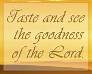 Ordinary Time - Week 21 - Response - English - B