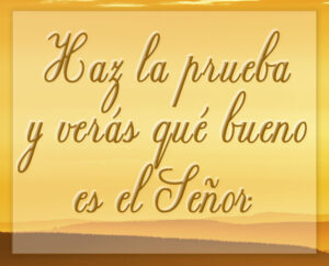 Ordinary Time - Week 21 - Response - Spanish - B