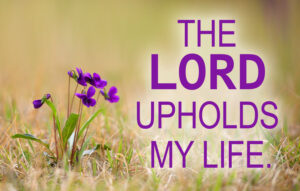 Ordinary Time - Week 25 - Response - English - B