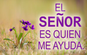 Ordinary Time - Week 25 - Response - Spanish - B