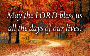 Ordinary Time - Week 27 - Response - English - B