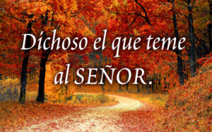 Ordinary Time - Week 27 - Response - Spanish - B