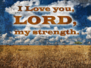 Ordinary Time - Week 31 - Response - English - B