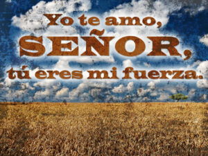 Ordinary Time - Week 31 - Response - Spanish - B