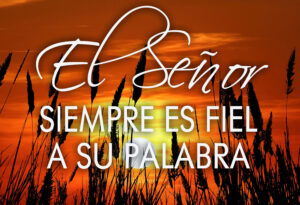 Ordinary Time - Week 32 - Response - Spanish - B