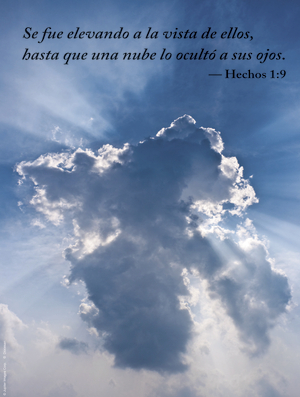 Ascension of the Lord C Cover - Spanish