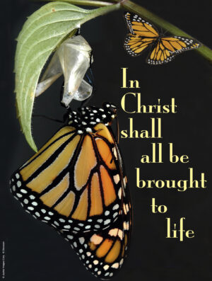 Christ the King B Cover - English