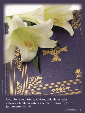 Easter B Cover - Spanish