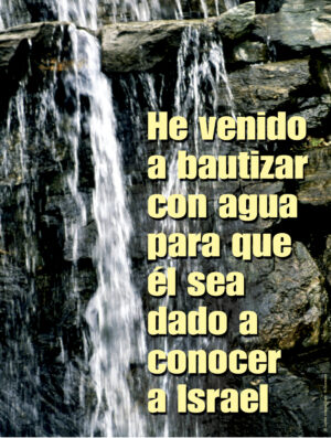 Second Sunday of Ordinary Time B Cover - Spanish