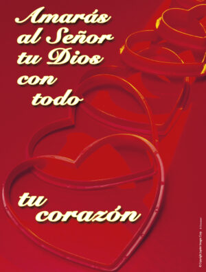 Thirtieth Sunday of Ordinary Time B Cover - Spanish