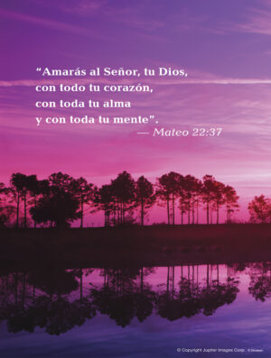 Thirtieth Sunday of Ordinary Time C Cover - Spanish