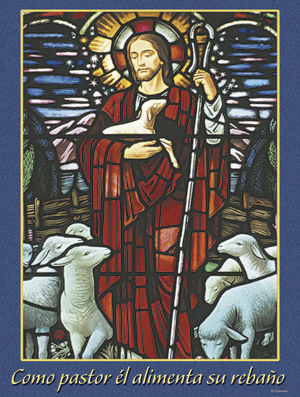 Second Sunday of Advent Cover - Spanish