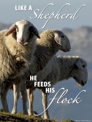 Second Sunday of Advent B Cover - English