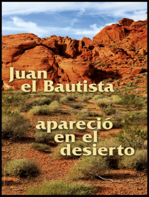 Second Sunday of Advent D Cover - Spanish