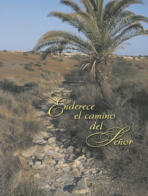 Third Sunday of Advent Cover - Spanish