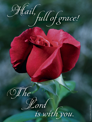 Fourth Sunday of Advent D Cover - English