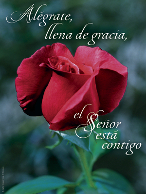 Fourth Sunday of Advent D Cover - Spanish