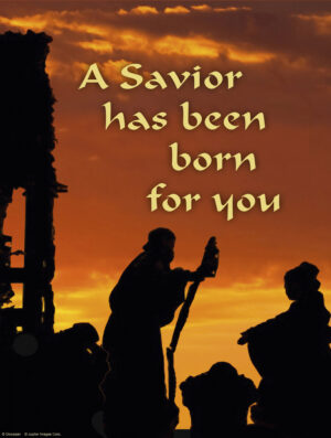 Christmas B Cover - English