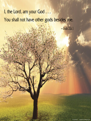 Third Sunday of Lent D Cover - English