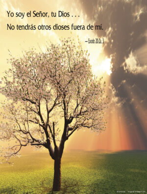 Third Sunday of Lent D Cover - Spanish