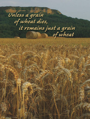 Fifth Sunday of Lent Cover - English