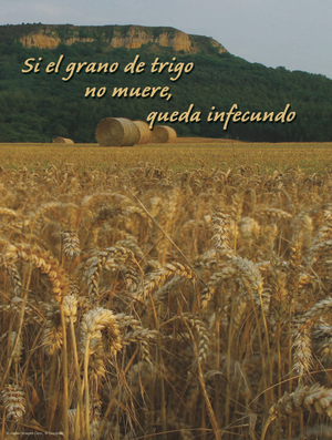 Fifth Sunday of Lent Cover - Spanish