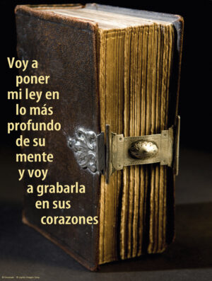 Fifth Sunday of Lent C Cover - Spanish