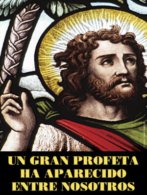 Fourteenth Sunday of Ordinary Time Cover - Spanish