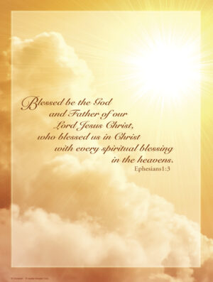 Fifteenth Sunday of Ordinary Time B Cover - English