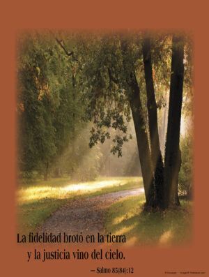 Fifteenth Sunday of Ordinary Time C Cover - Spanish