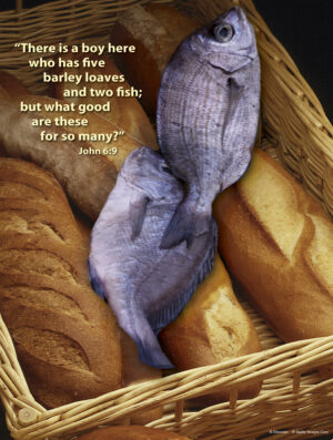 Seventeenth Sunday of Ordinary Time B Cover - English