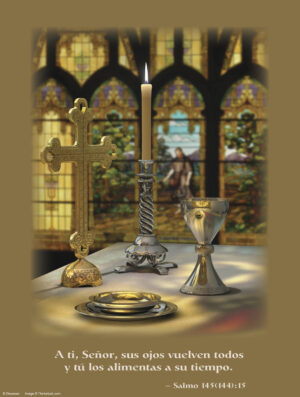 Seventeenth Sunday of Ordinary Time C Cover - Spanish