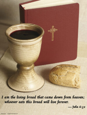 Nineteenth Sunday of Ordinary Time D Cover - English