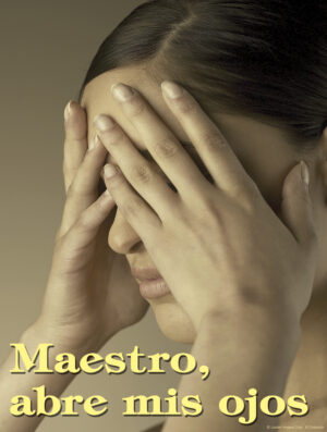 Thirtieth Sunday of Ordinary Time Cover - Spanish