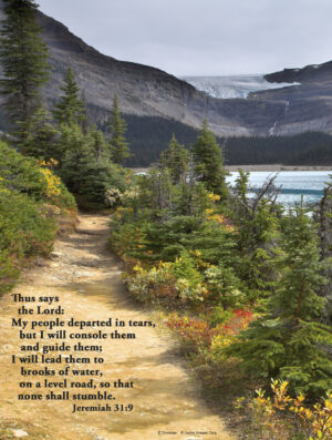 Thirtieth Sunday of Ordinary Time C Cover - English