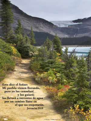 Thirtieth Sunday of Ordinary Time C Cover - Spanish