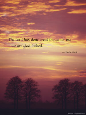 Thirtieth Sunday of Ordinary Time D Cover - English