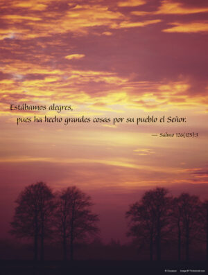 Thirtieth Sunday of Ordinary Time D Cover - Spanish