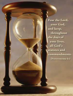 Thirty-first Sunday of Ordinary Time C Cover - English