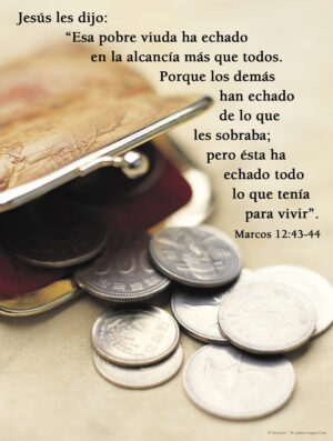 Thirty-second Sunday of Ordinary Time C Cover - Spanish