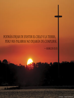 Thirty-third Sunday of Ordinary Time D Cover - Spanish