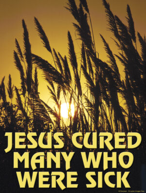 Fifth Sunday of Ordinary Time B Cover - English