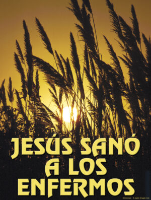 Fifth Sunday of Ordinary Time B Cover - Spanish