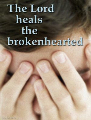 Fifth Sunday of Ordinary Time C Cover - English