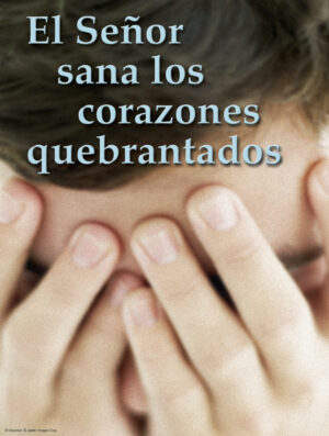 Fifth Sunday of Ordinary Time C Cover - Spanish