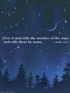 Fifth Sunday of Ordinary Time D Cover - English