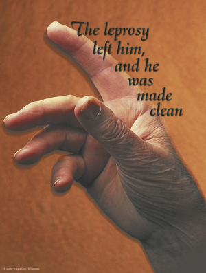 Sixth Sunday of Ordinary Time Cover - English