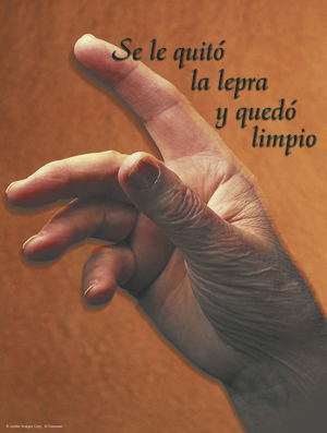 Sixth Sunday of Ordinary Time Cover - Spanish