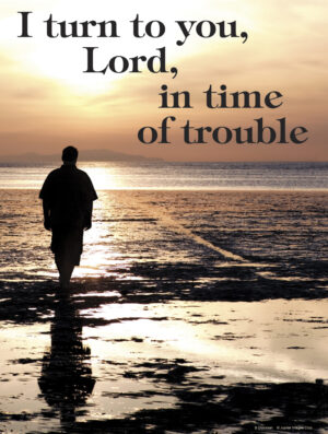 Sixth Sunday of Ordinary Time B Cover - English